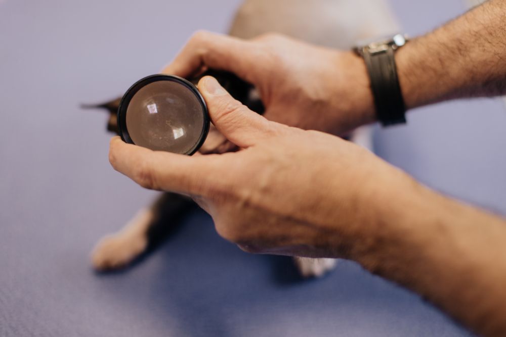 Médecine spécialisée